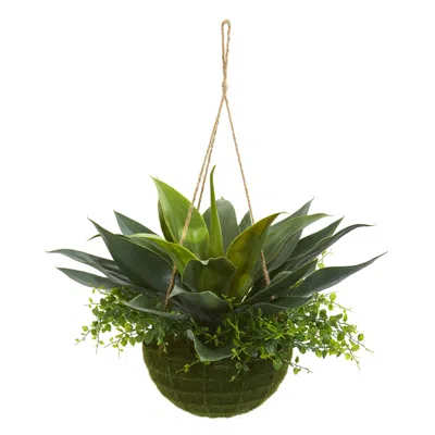Homplanti Agave And Maiden Hair Artificial Plant In Hanging Basket (indoo/outdoor) In Green