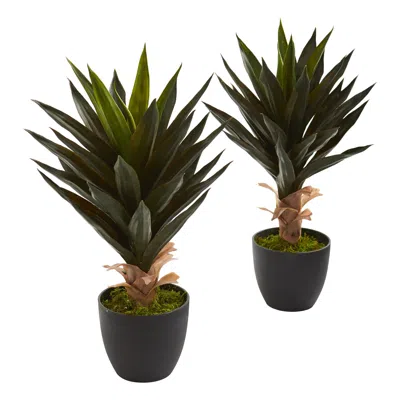 Homplanti Agave Artificial Plant (set Of 2) In Brown