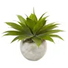 Homplanti Agave In Sand Colored Bowl