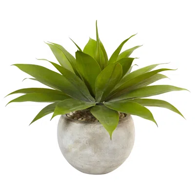 Homplanti Agave In Sand Colored Bowl