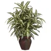 Homplanti Aglaonema W/decorative Vase