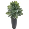 Homplanti Aglonema Artificial Plant In Planter (real Touch) 37"