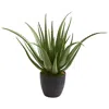 Homplanti Aloe Artificial Plant