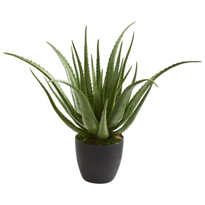 Homplanti Aloe Artificial Plant