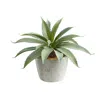 Homplanti Aloe Succulent Artificial Plant 9"