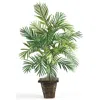 Homplanti Areca Palm W/wicker Basket