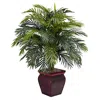 Homplanti Areca W/decorative Planter