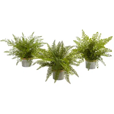 Homplanti Assorted Ferns With Planter Artificial Plant (set Of 3) 14" In Green
