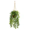 Homplanti Baby Tear Artificial Plant In Hanging Basket 20"