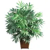 Homplanti Bamboo Palm W/wood Wicker Basket