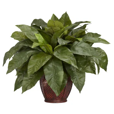 Homplanti Birdsnest Fern W/decorative Vase