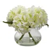 Homplanti Blooming Hydrangea W/vase