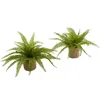 Homplanti Boston Fern W/burlap Planter (set Of 2)
