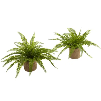 Homplanti Boston Fern W/burlap Planter (set Of 2) In Green