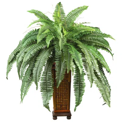 Homplanti Boston Fern W/decorative Wood Vase