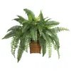 Homplanti Boston Fern W/wood Wicker Basket