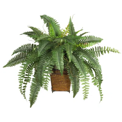 Homplanti Boston Fern W/wood Wicker Basket