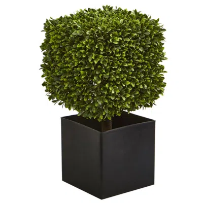 Homplanti Boxwood Artificial Plant In Black Planter N(indoor/outdoor) 27"