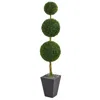 Homplanti Boxwood Topiary Tree In Planter Uv Resist (indoor/outdoor)