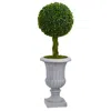 Homplanti Braided Boxwood Tree In Urn Uv Resistant (indoor/outdoor)