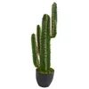 Homplanti Cactus Artificial Plant 3'