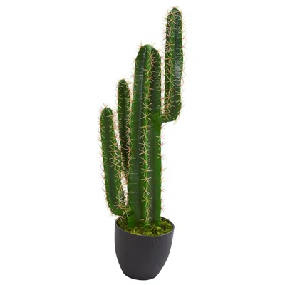 Homplanti Cactus Artificial Plant 3' In Green