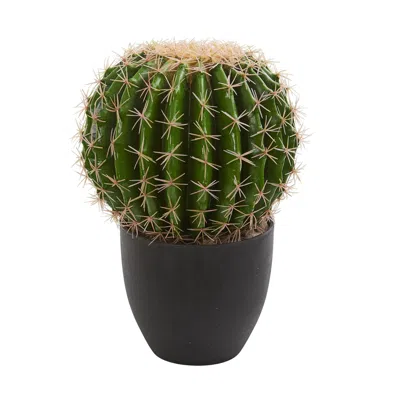 Homplanti Cactus Artificial Plant In Black