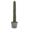 Homplanti Cactus In Stone Planter Artificial Plant 41"