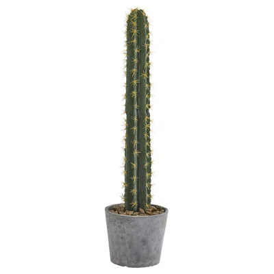 Homplanti Cactus In Stone Planter Artificial Plant 41" In Green