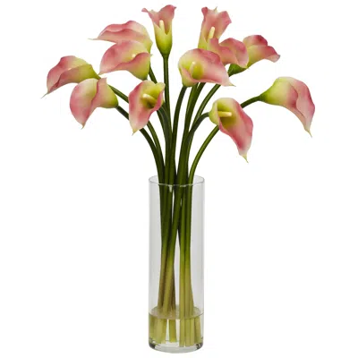 Homplanti Calla Lilly W/cylinder Vase Pink