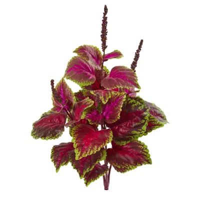 Homplanti Coleus Bush Artificial Plant (set Of 6) 23" In Multi
