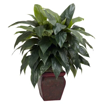 Homplanti Cordyline W/decorative Vase