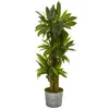 Homplanti Corn Stalk Dracaena Artificial Plant In Black Embossed Tin Planter (real Touch) 58"