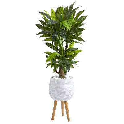 Homplanti Corn Stalk Dracaena Artificial Plant In White Planter With Stand (real Touch) 46"
