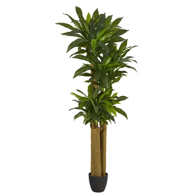 Homplanti Corn Stalk Dracaena Artificial Plant (real Touch) 6' In Green