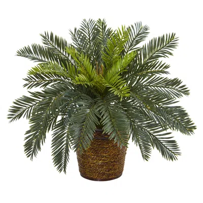 Homplanti Cycas Artificial Plant In Basket 15" In Green