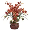 Homplanti Cymbidium W/decorative Vase Silk Arrangement