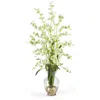 Homplanti Dancing Lady Liquid Illusion Green