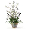Homplanti Dancing Lady Silk Orchid Arrangement