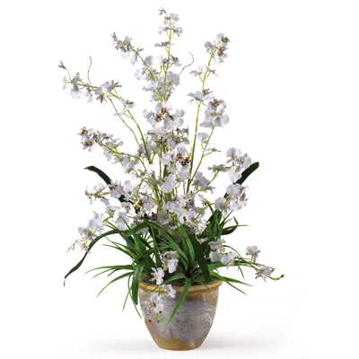 Homplanti Dancing Lady Silk Orchid Arrangement