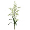 Homplanti Dancing Lady Stem (set Of 12) - Green