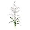 Homplanti Dancing Lady Stem (set Of 12) - White