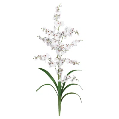 Homplanti Dancing Lady Stem (set Of 12) - White