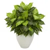 Homplanti Dieffenbachia Artificial Plant In White Planter