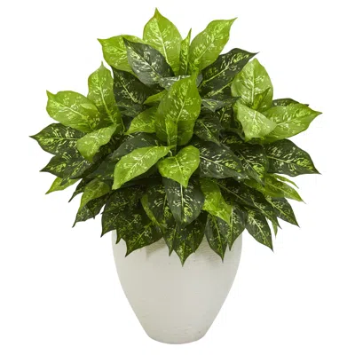 Homplanti Dieffenbachia Artificial Plant In White Planter