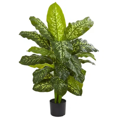Homplanti Dieffenbachia Artificial Plant (real Touch) 42"