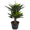 Homplanti Double Agave Succulent Artificial Plant 29"