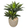 Homplanti Double Agave Succulent Artificial Plant In Sand Stone Planter 34"