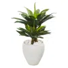 Homplanti Double Agave Succulent Artificial Plant In White Planter 33"