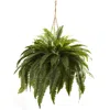 Homplanti Double Giant Boston Fern Hanging Basket
